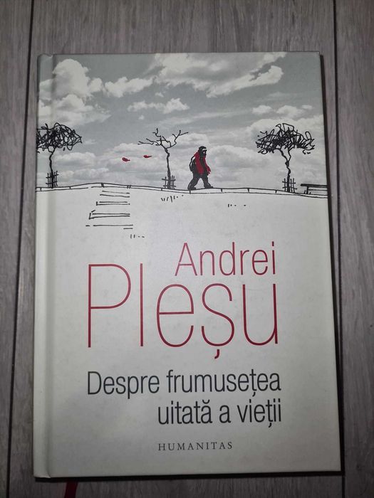 Despre frumusetea uitata a vietii - Andrei Plesu - Carte