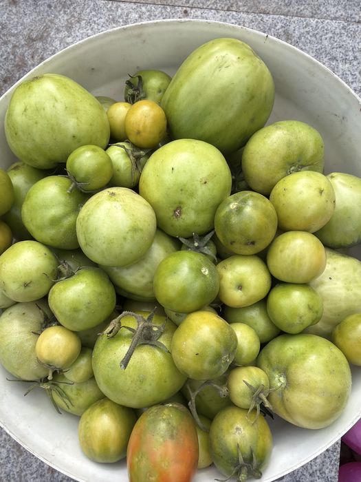 Продам домашние помидоры
