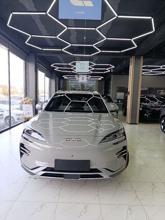 Byd Chempion 2026 smart