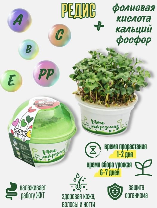 Набор для выращивания Микрозелени 4 вида. Готовое решение