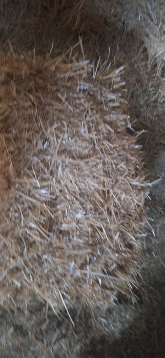 Сабан прес сатылады