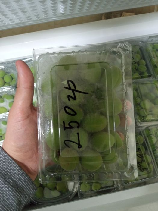 Dovcha va kok sulton va qulupney va guloz bor