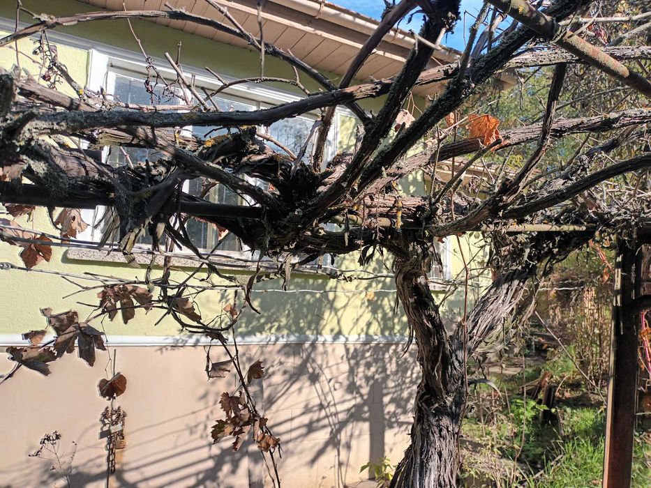 КЪЩА с  Баня Т.  +Двор и Други  СГРАДИ в Алфатар НИСКА Цена !