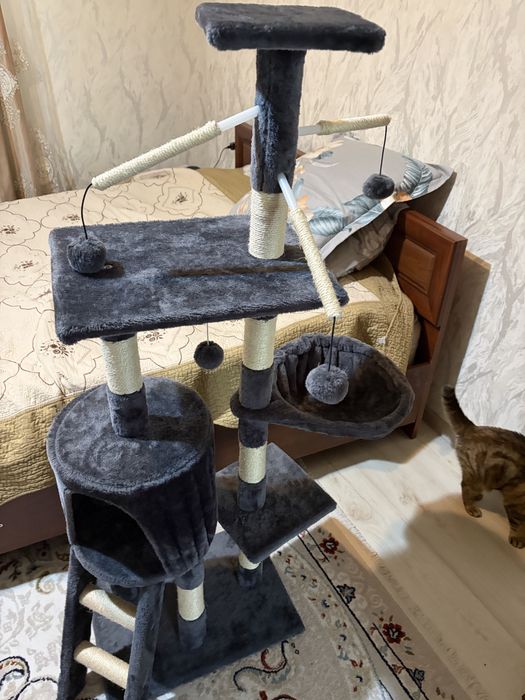 Домик для кошки кошек