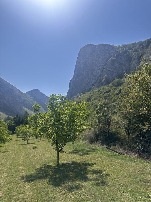 Teren de vanzare zona Valisoara Jud Alba