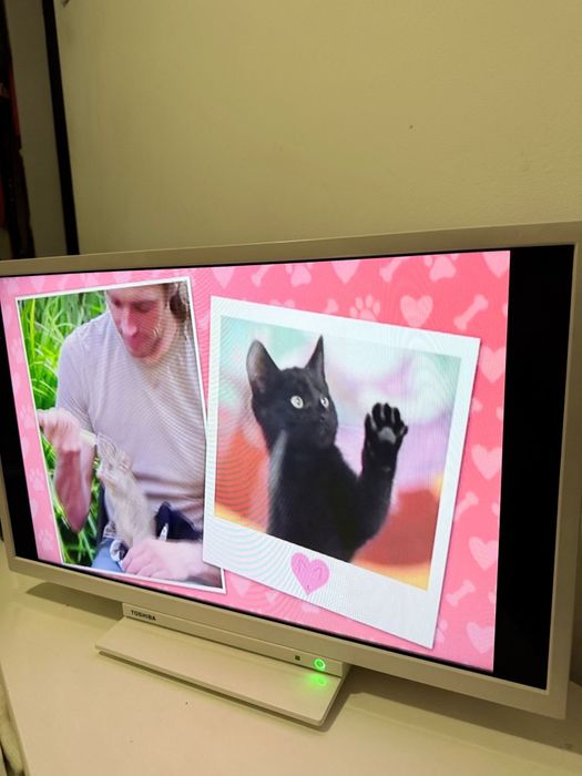 Televizor Toshiba 24” (62 cm)