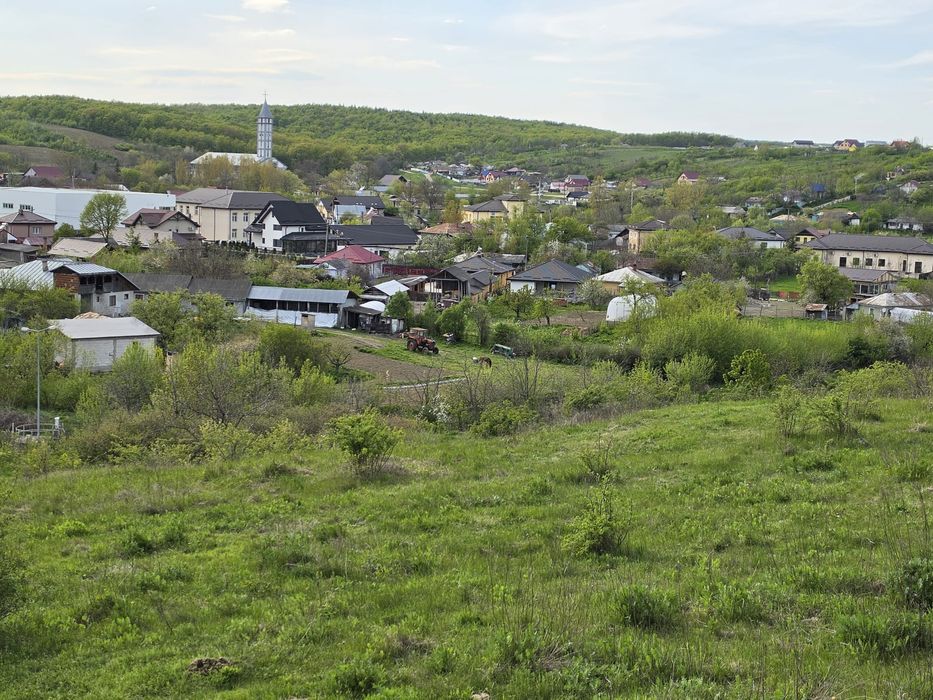 Teren intravilan 3200 mp Comuna Horlesti