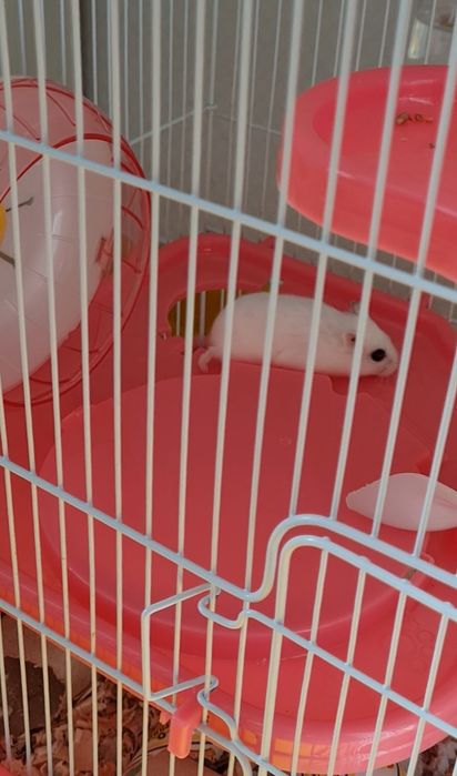 Клетка для хомяка