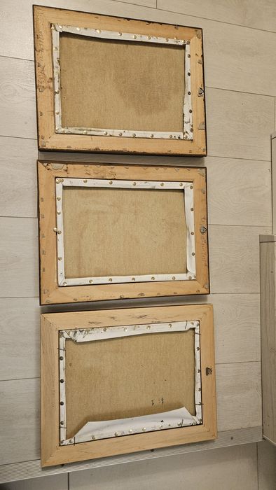 Set tablouri pictură pe pânză