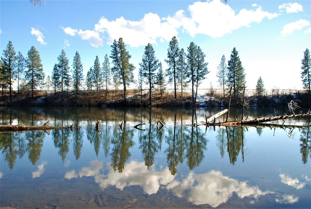 Tamron 18-200mm f3.5-6.3 XR Di II LD обектив Никон