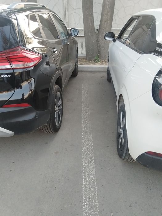 Dongfeng Nammi 01