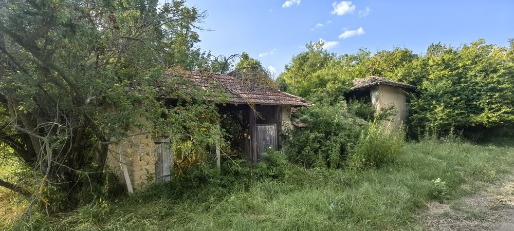 Къща с голям двор 3200 кв.м и река с. Новосел, обл. Шумен
