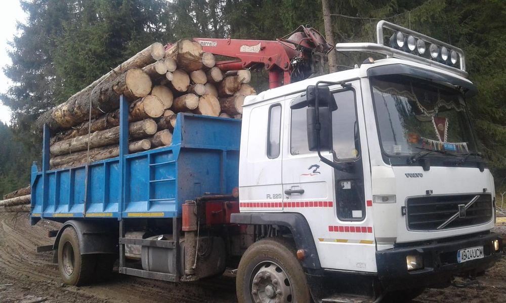Camion cu macara și basculabil
