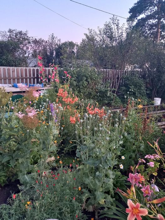 Продам хорошую дачу