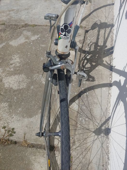 Cursiera colnago