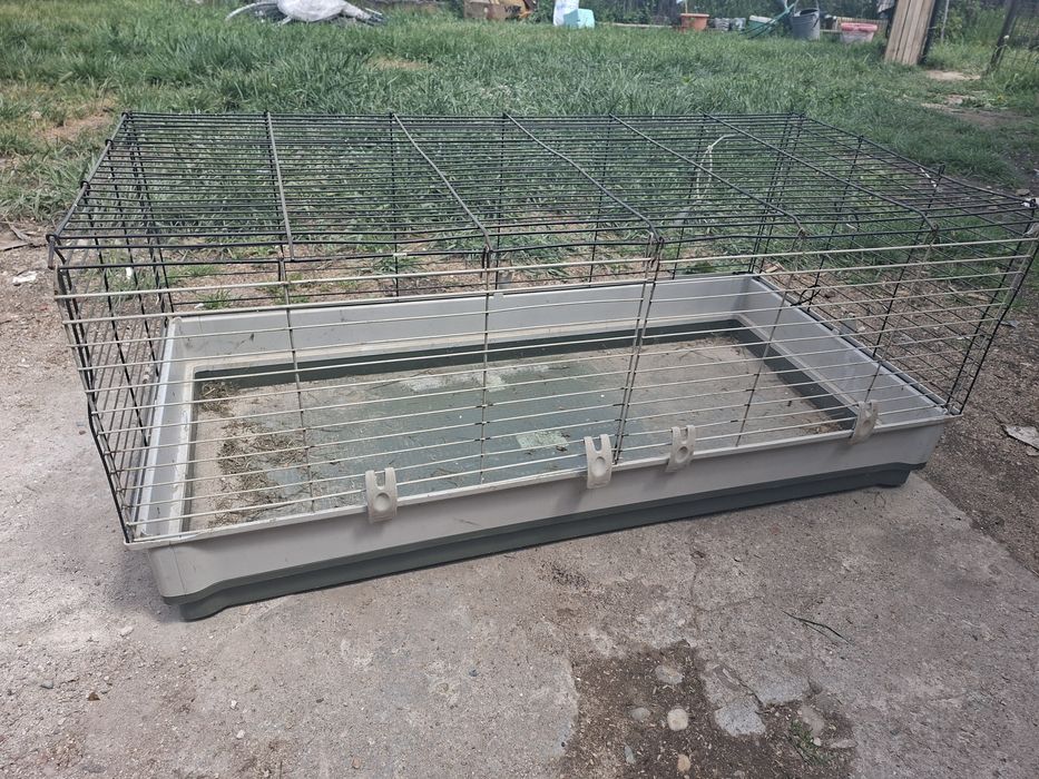 Cusca animale iepuri si altele