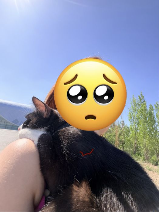 Тактильный кот Федя