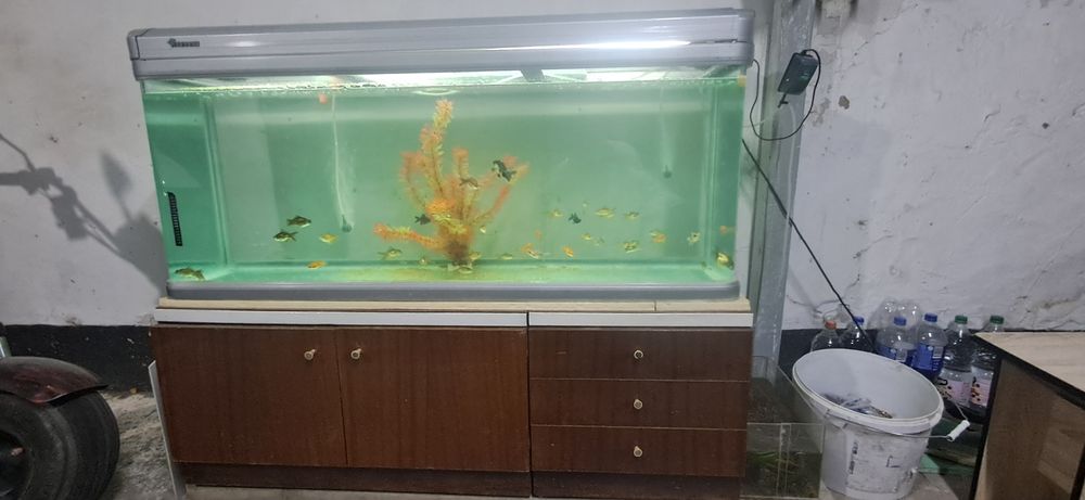 Аквариум заводской. 300л