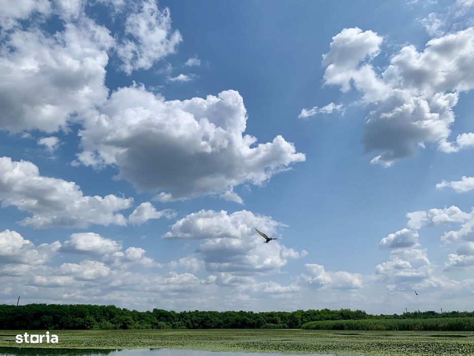 Teren Crevedia 45000 mp