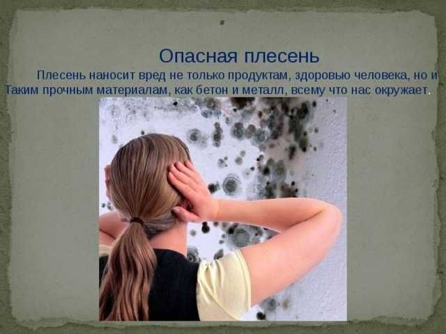 Чистка Удаление  Плесени , Запаха, Вирусов , Бактерий . Вентиляция.