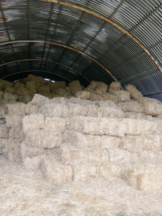 Продавам бали сено
