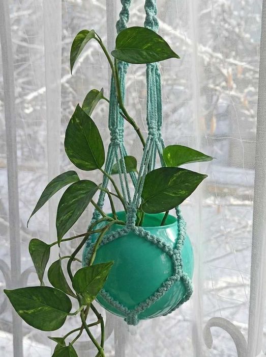 Подвесные кашпо для цветов