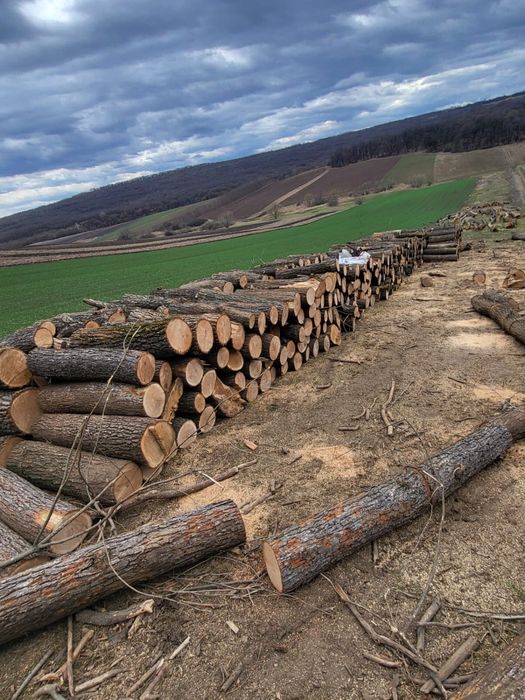 Vand lemne de foc esenta tare