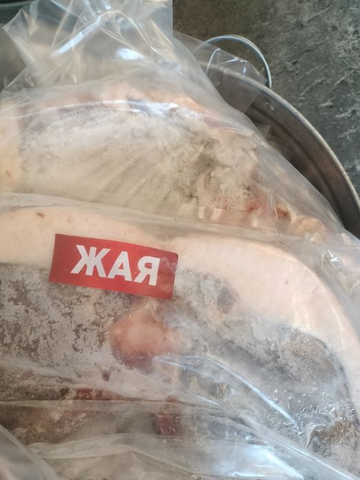 Согым с откорма на выбор