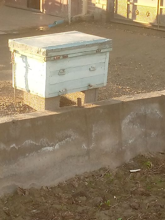 Ikta yashik sotiladi