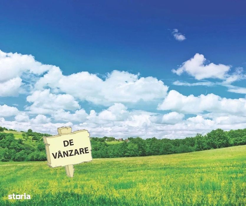 Teren 26.900 mp intravilan extins Comuna Jebel Timis 89.000 euro