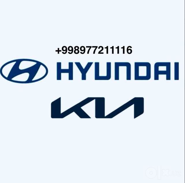 Haval kia Hyndayi Byd Cherry
Fara Krilo Kapot Bagaj