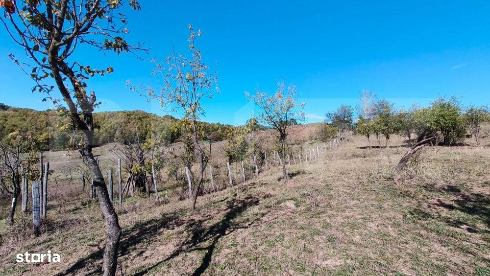 Teren extravilan cu priveliste superba , livada si potential casute de