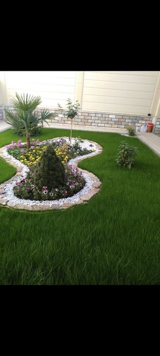 Газон афтоПалиф ландшафтный