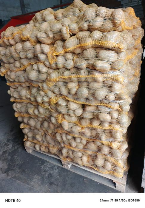 Vând cartofi orice cantitate la preturi  convenabile