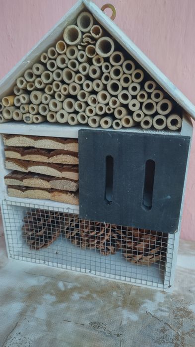 Хотел за насекоми