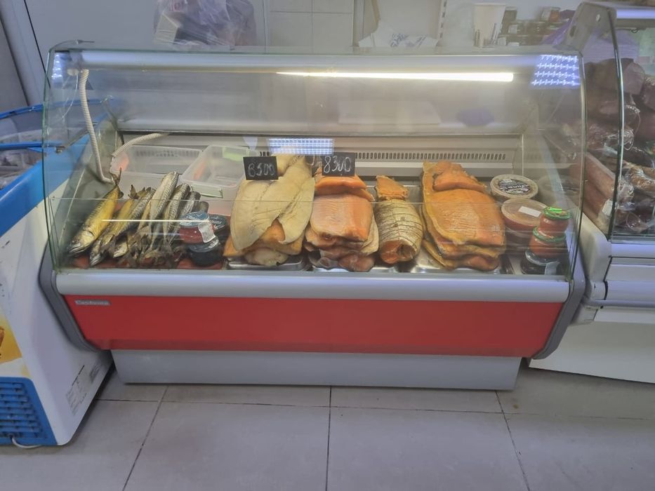 Ремонт холодильников астана выезд