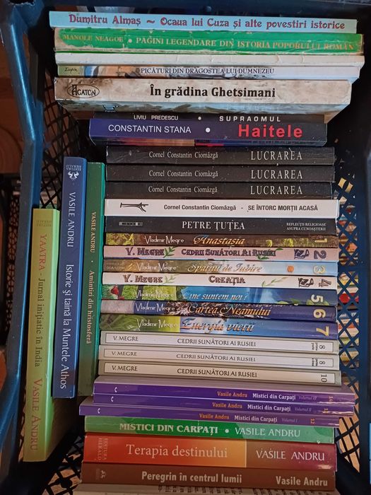 Carti despre ortodoxie