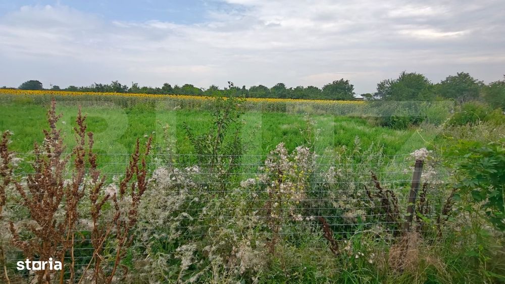 Teren parcelat pentru constructii, 5054.03 mp, zona Cornesti