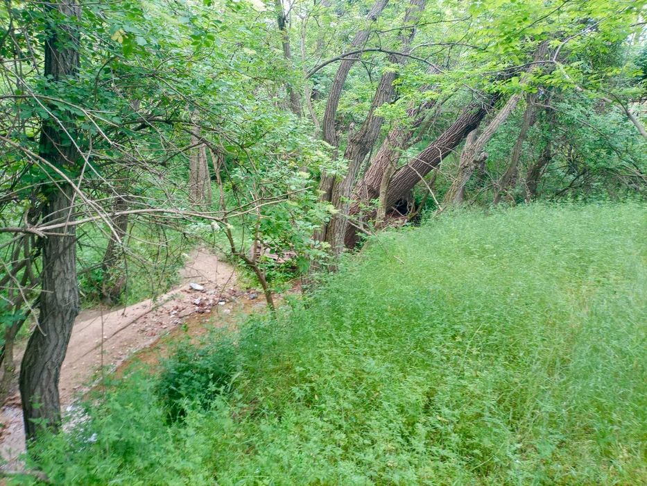 Продава се Парцел в с. Червенаково, Област Сливен - 740 кв.м за 15 €/кв.м - Снимка #3