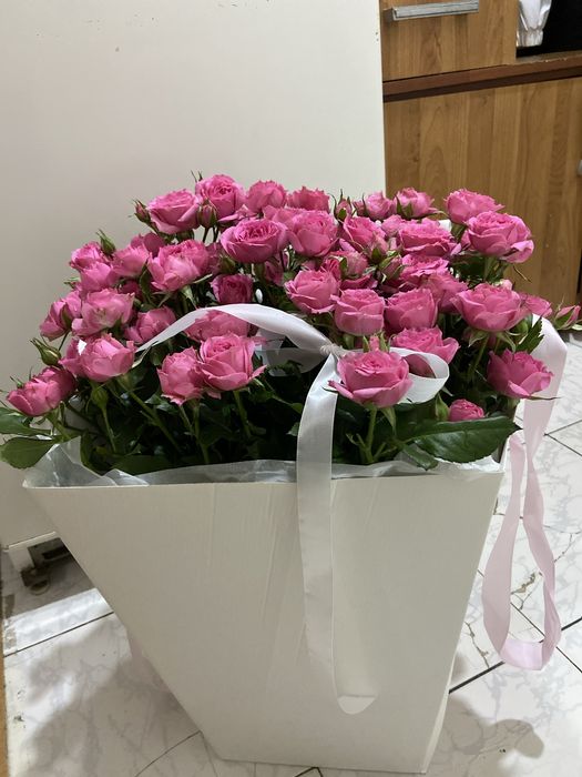 Цветы Новые  сегодняшние