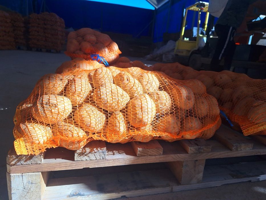 Cartofi de Vânzare - Albi și Roșii - Direct de la Producător