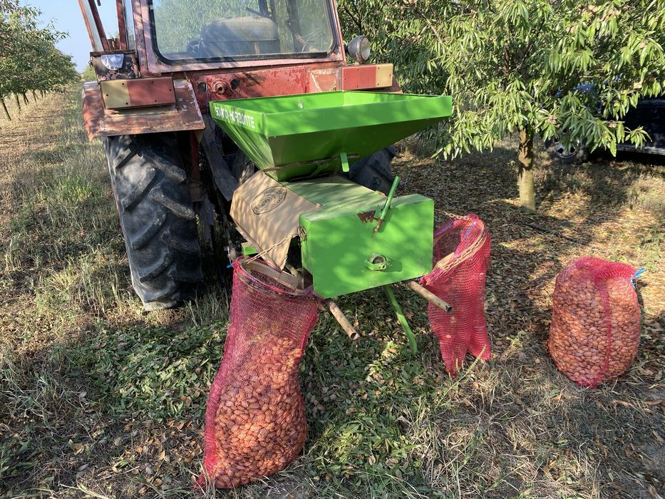 Migdale  dulci romanesti  in coajă sau miez din livadă proprie 2025