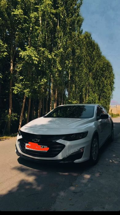 Malibu 2 xl 2023