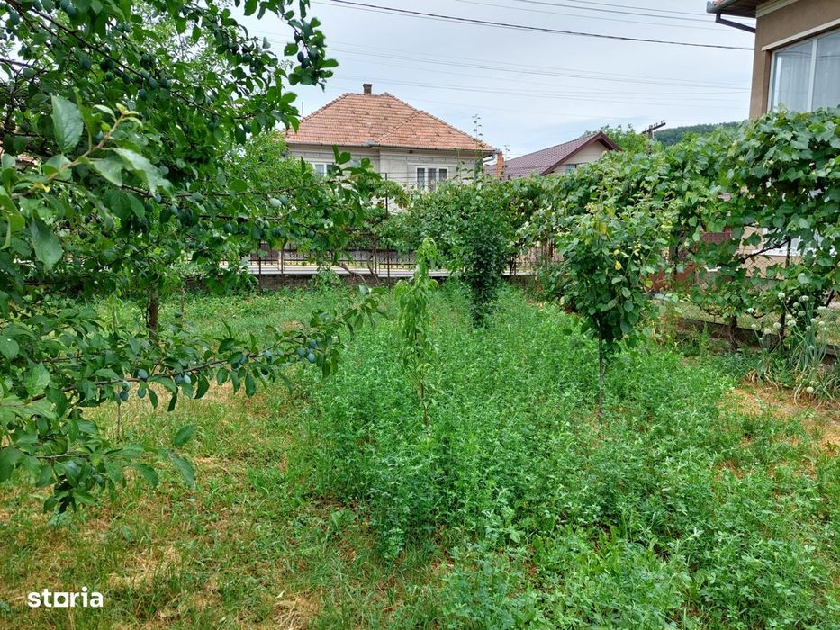 Vând Teren - grădină- de 2000 mp în Centrul Satului Cuzăplac la nr 249