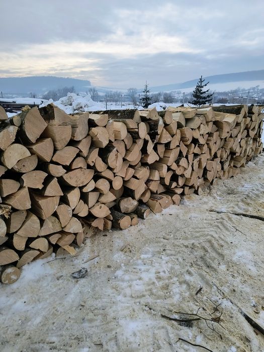 Vand lemne de foc carpen cu fag esenta tare