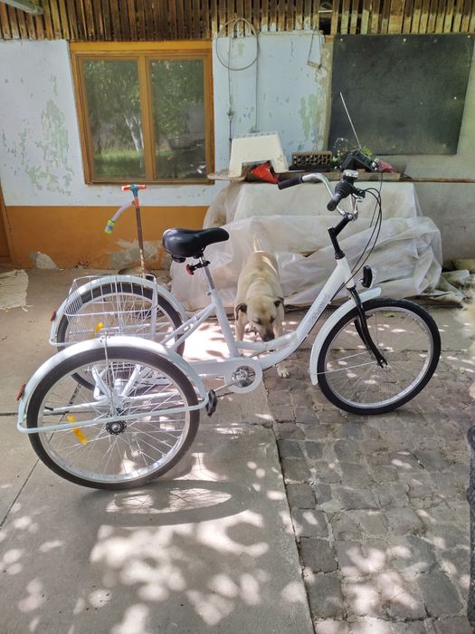 Tricicletă de adulți, nouă