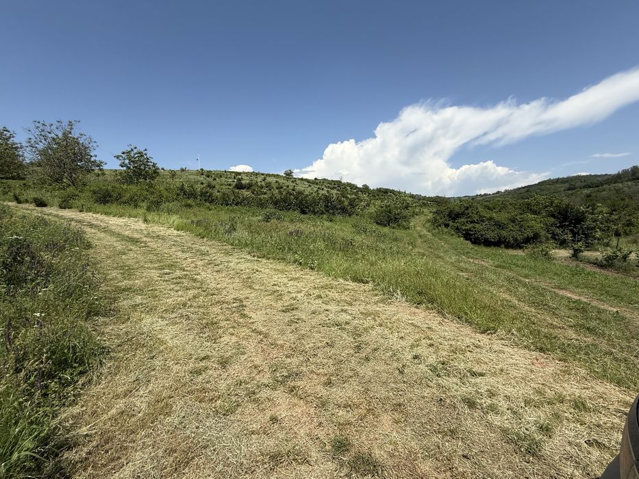 Curatam sau defrisam  terenuri