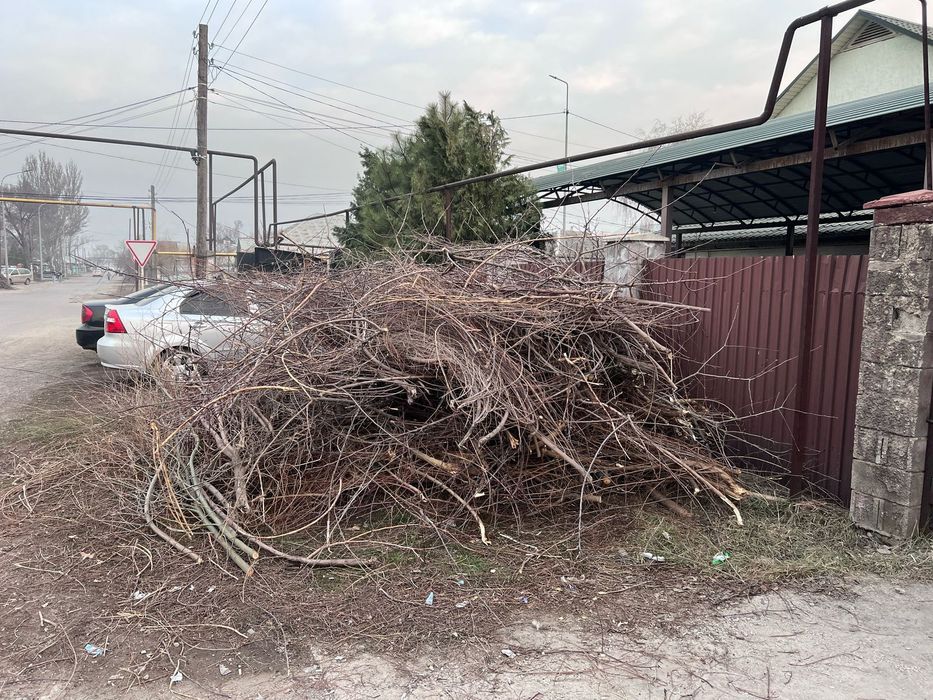 Вывоз мусора паркинг заезд недорого