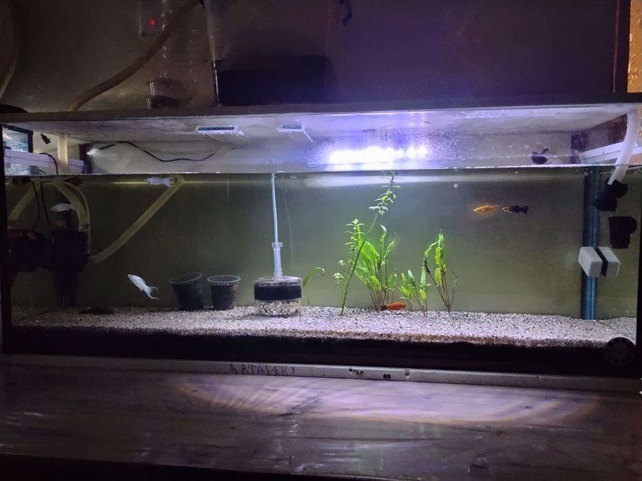 Аквариум 64 литир