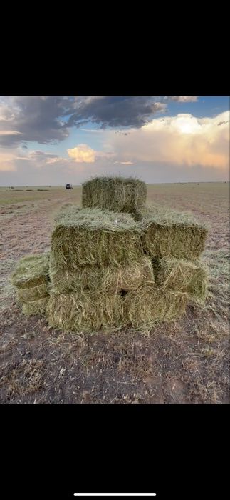 Продам тюк 500тг